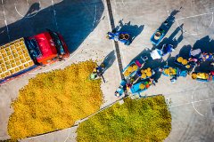 【纪检监察人·镜头】日夜等分处 秋味满